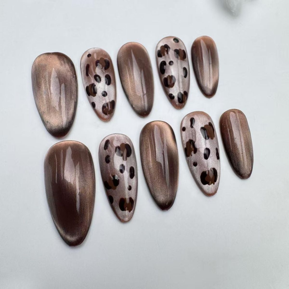 Mocha Safari